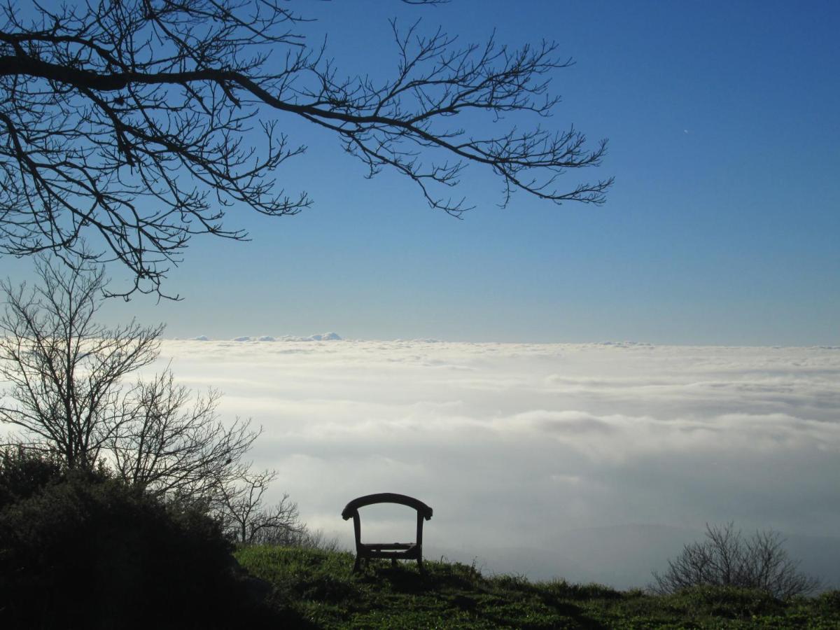 Montalma Panzió Monchique Kültér fotó